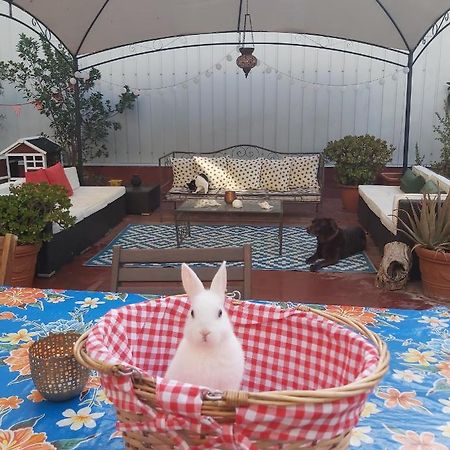 Small Room In Sants With Huge Terrace Барселона Екстериор снимка
