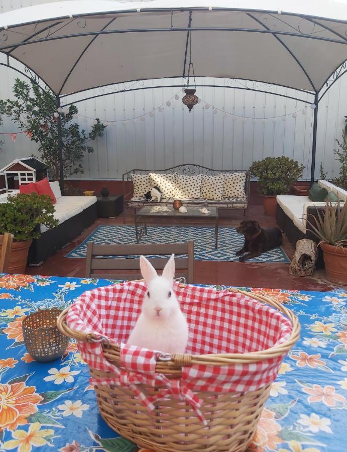 Small Room In Sants With Huge Terrace Барселона Екстериор снимка